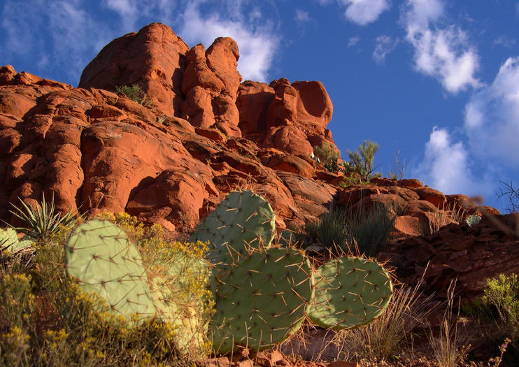 How to Spend 1 Day in Phoenix